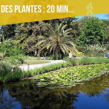 מונפלייה Amja Proche Clinique Saint-Roch Apt 3 Chambres 3 Salles De Bain Parking Gratuit Ideal Famille Groupe Coworking 10 Min Centre Ville 10 Min Plage 5 Min Sortie Autoroute מראה חיצוני תמונה