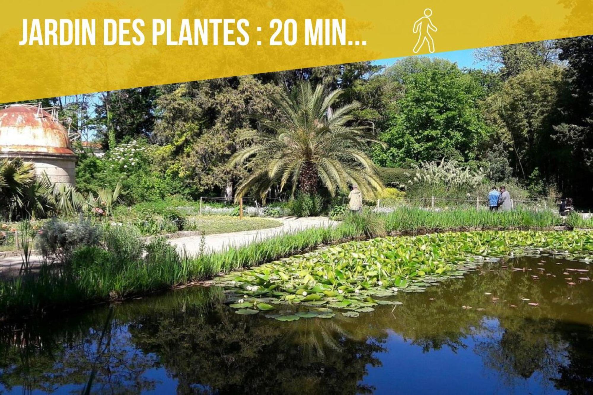 מונפלייה Amja Proche Clinique Saint-Roch Apt 3 Chambres 3 Salles De Bain Parking Gratuit Ideal Famille Groupe Coworking 10 Min Centre Ville 10 Min Plage 5 Min Sortie Autoroute מראה חיצוני תמונה