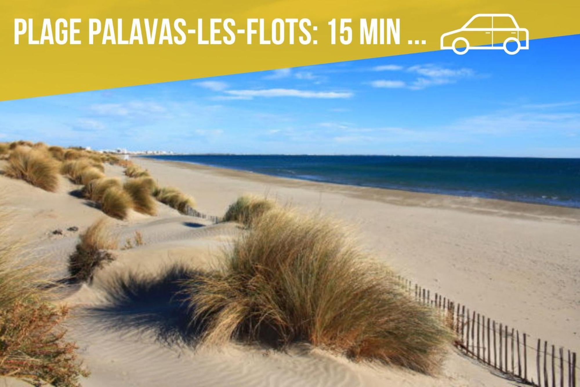 מונפלייה Amja Proche Clinique Saint-Roch Apt 3 Chambres 3 Salles De Bain Parking Gratuit Ideal Famille Groupe Coworking 10 Min Centre Ville 10 Min Plage 5 Min Sortie Autoroute מראה חיצוני תמונה