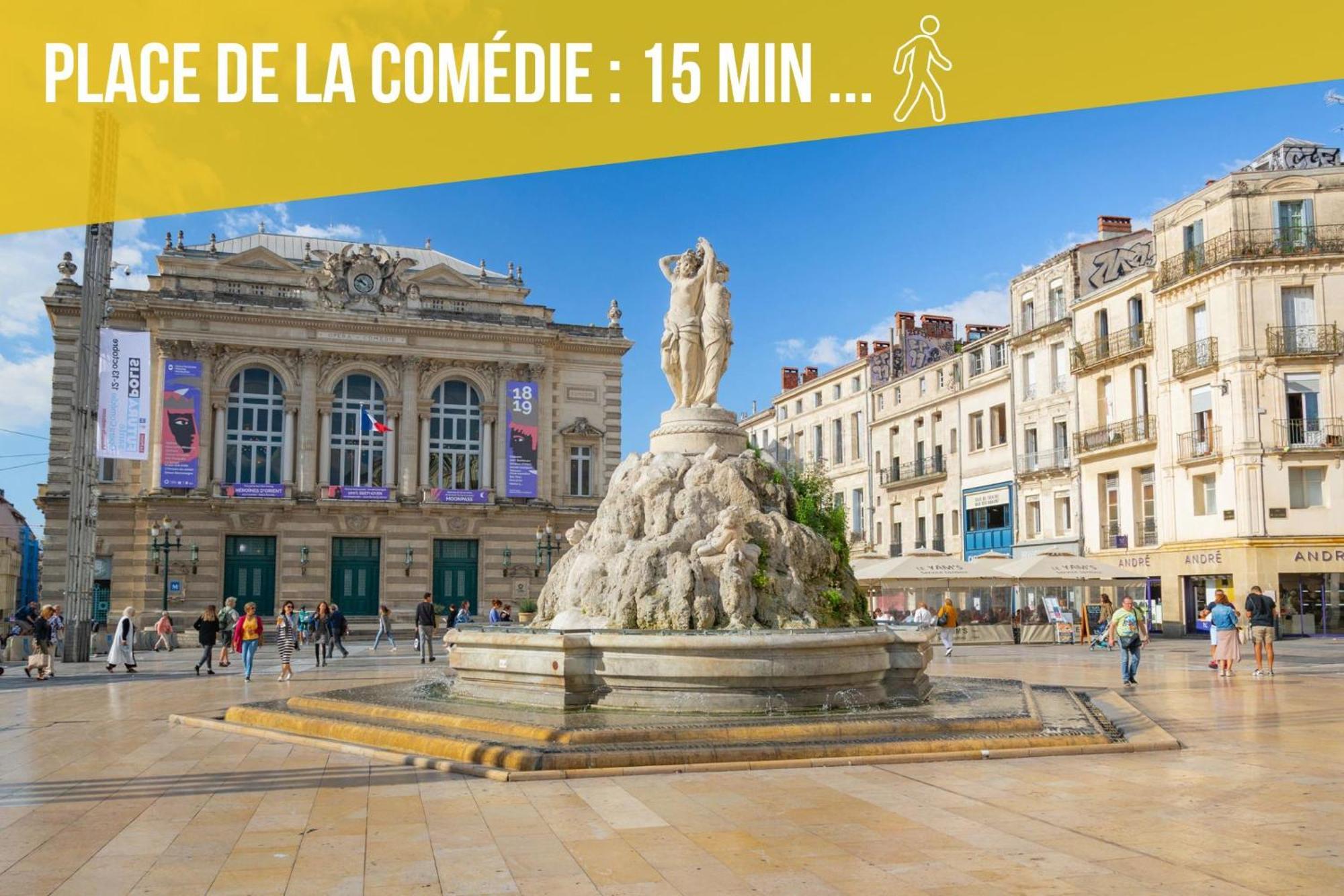 מונפלייה Amja Proche Clinique Saint-Roch Apt 3 Chambres 3 Salles De Bain Parking Gratuit Ideal Famille Groupe Coworking 10 Min Centre Ville 10 Min Plage 5 Min Sortie Autoroute מראה חיצוני תמונה